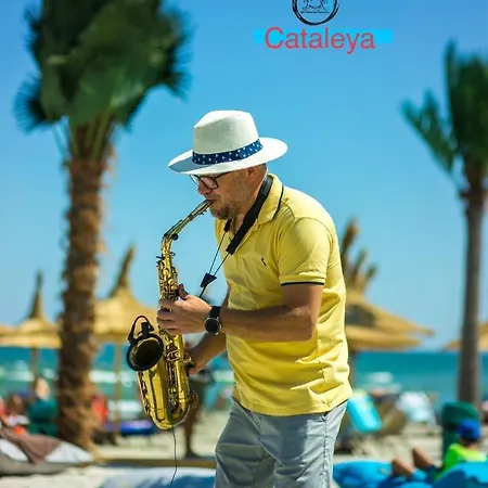 Zev- Cataleya Mamaia Nord *