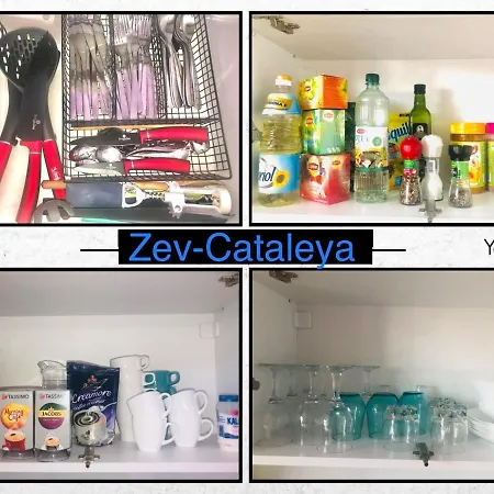 Lejlighed Zev- Cataleya Mamaia Nord